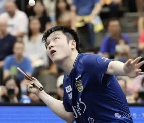 樊振东征战德甲引发关注！刘国梁给出评价，七个字展现格局与支持